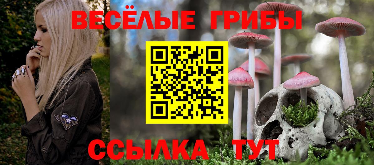 Галлюциногенные грибы Psilocybine cubensis  Галлюциногенные грибы Cubensis  Белгород  Вход с VPN 